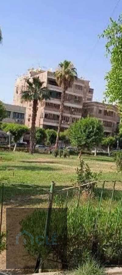 13 WhatsApp Image 2026-08-19 at 04.55. 25. jpeg
