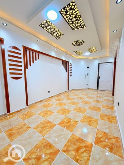 2 Bedroom Apartment for Sale in Nakheel, Alexandria - 7ad0be6e-ad13-44a9-9152-abbb99112362. jpg