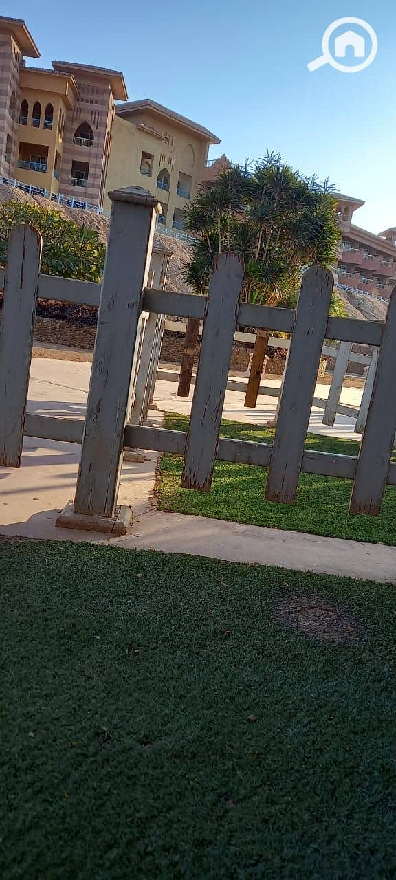 4 1000000395. jpg