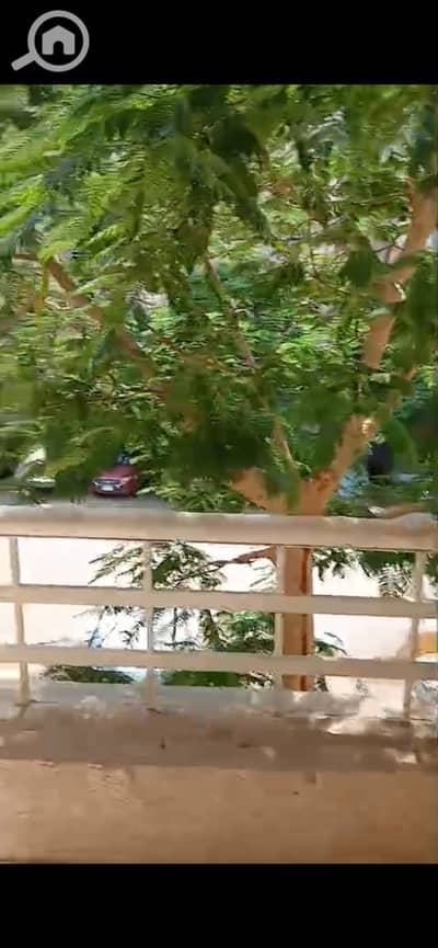 2 Bedroom Flat for Sale in Madinaty, Cairo - 1000969922. jpg 2 Bedroom Flat for Sale in Madinaty, Cairo - 1000969922. jpg