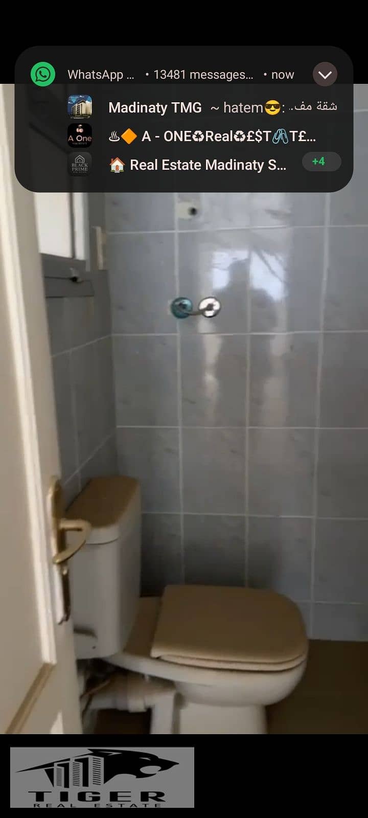 42790. jpg 42790. jpg