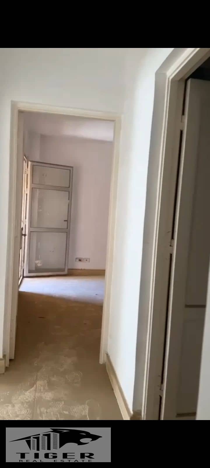 5 42794. jpg