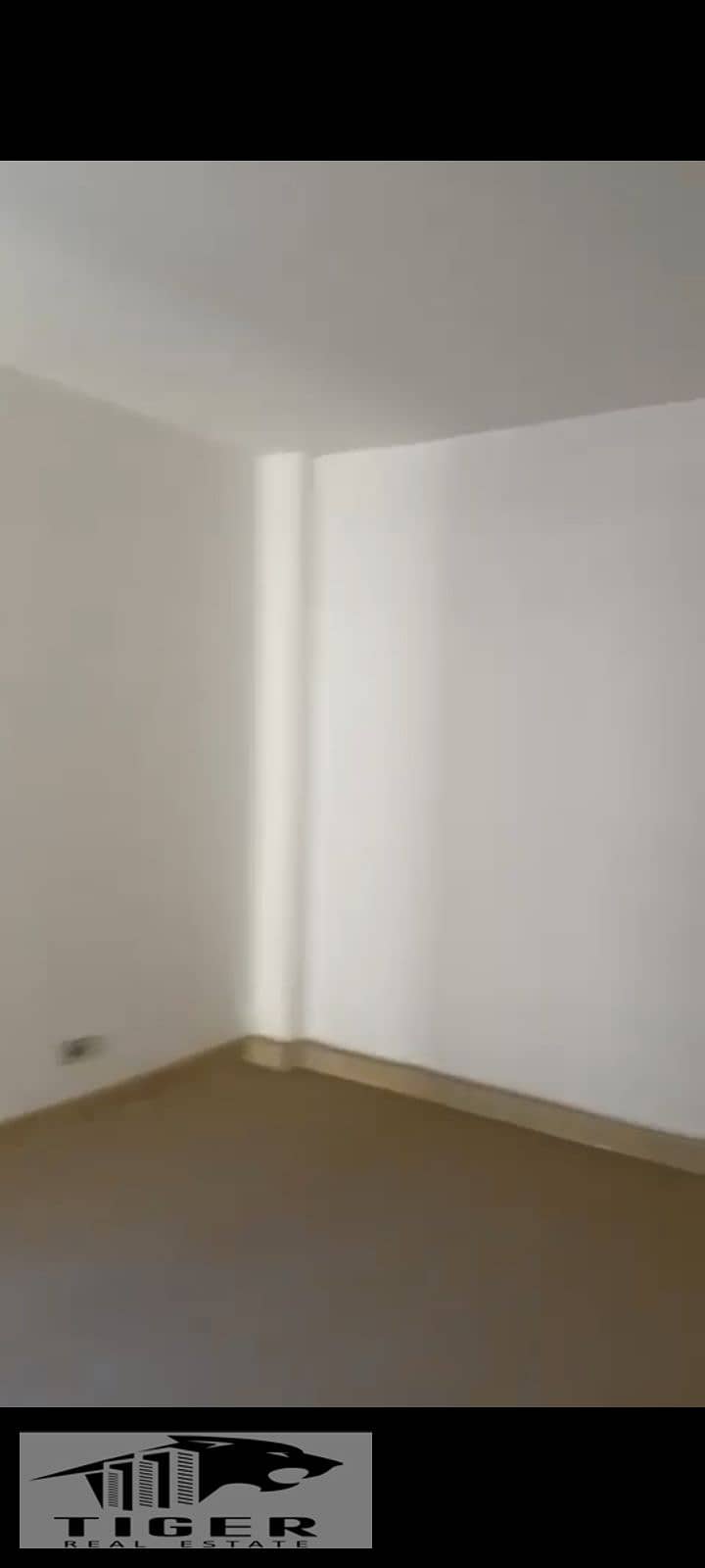 8 42797. jpg
