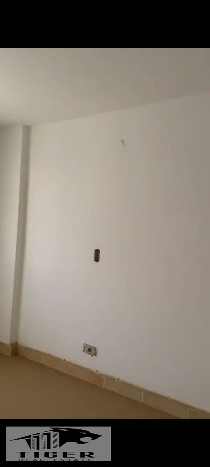 12 42799. jpg