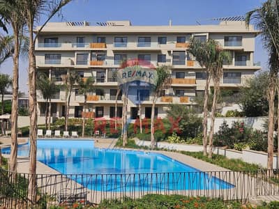 2 Bedroom Flat for Rent in New Cairo, Cairo - WhatsApp Image 2026-08-16 at 4.22. 27 PM (3). jpeg