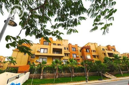 4 Bedroom Penthouse for Sale in Sheikh Zayed, Giza - الحدائق-في-كمبوند-كازا-الشيخ-زايد. jpg 4 Bedroom Penthouse for Sale in Sheikh Zayed, Giza - الحدائق-في-كمبوند-كازا-الشيخ-زايد. jpg