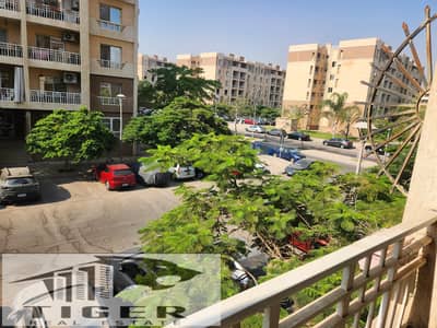 2 Bedroom Apartment for Rent in Madinaty, Cairo - 43372. jpg