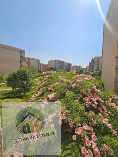 2 Bedroom Flat for Sale in Madinaty, Cairo - 1000609303. jpg 2 Bedroom Flat for Sale in Madinaty, Cairo - 1000609303. jpg