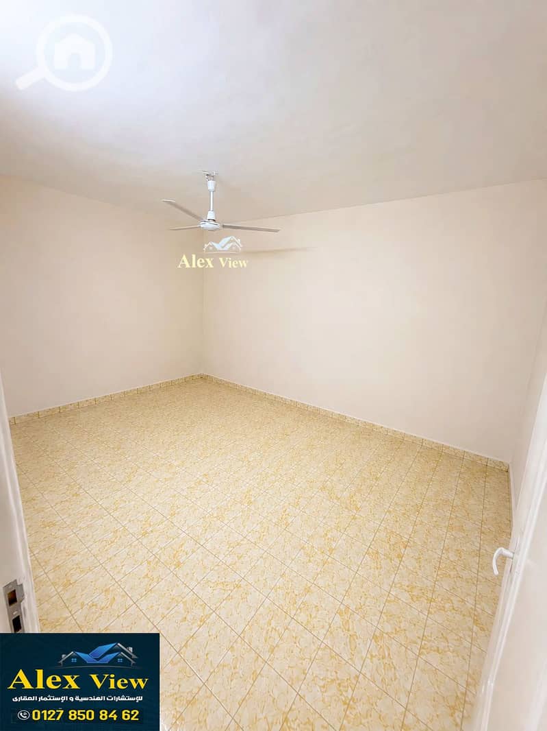5 5. jpg