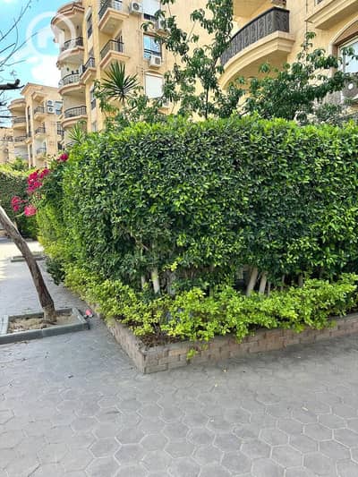 3 Bedroom Apartment for Sale in New Cairo, Cairo - 68304. jpg