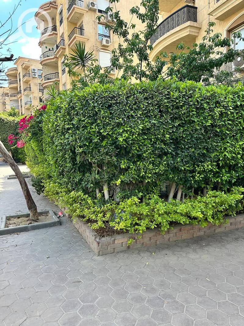 68304. jpg 68304. jpg