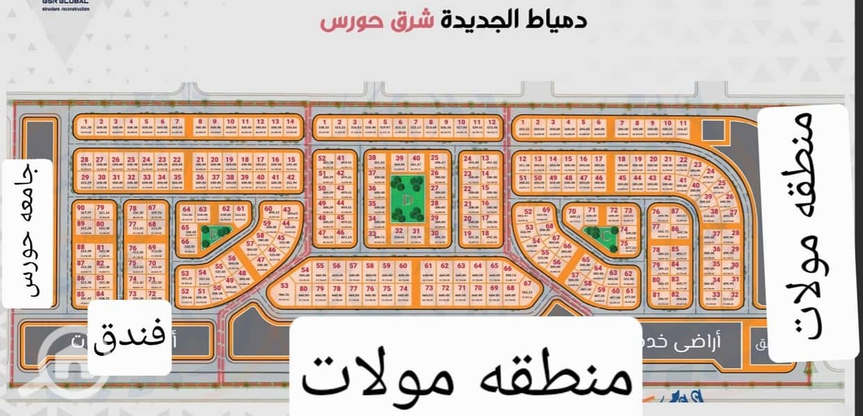 8 1000317903. jpg