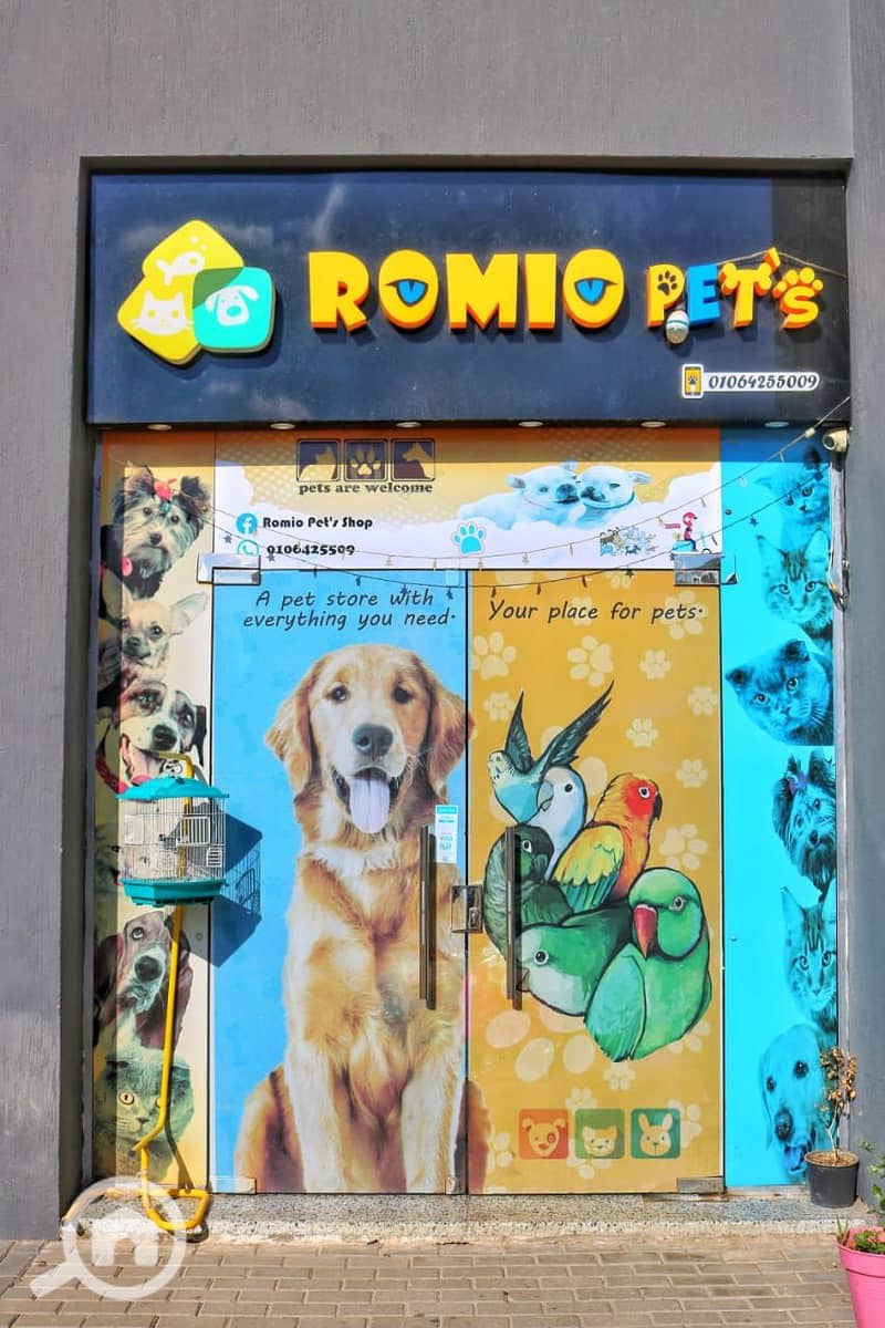 4 1000005561. jpg