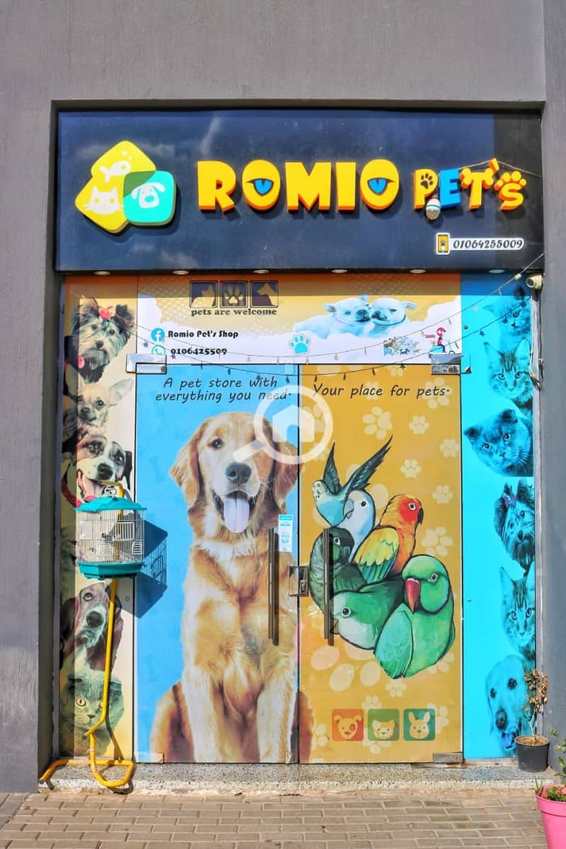 4 1000005561. jpg