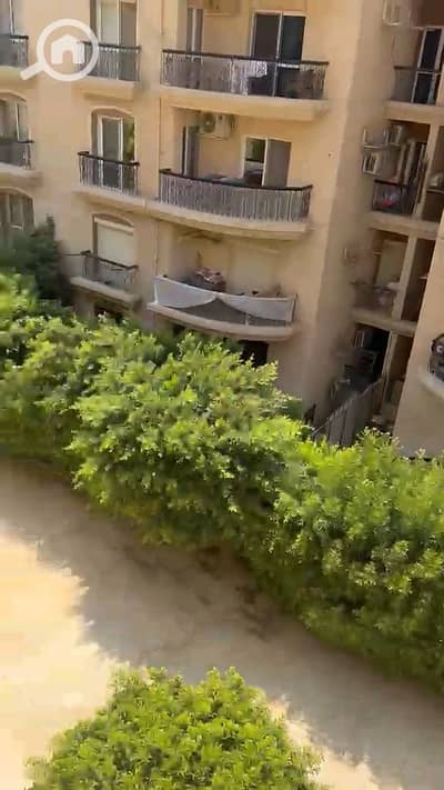 3 Bedroom Flat for Rent in New Cairo, Cairo - vf_VID-20260819-WA0024_228000. jpeg 3 Bedroom Flat for Rent in New Cairo, Cairo - vf_VID-20260819-WA0024_228000. jpeg