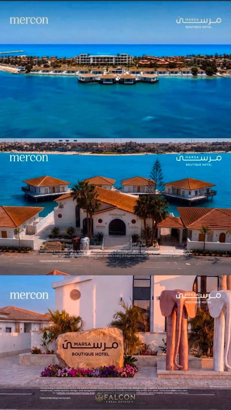 7 9a43c3ed-1c4d-4ccd-b240-52f7cd04466a. jpg