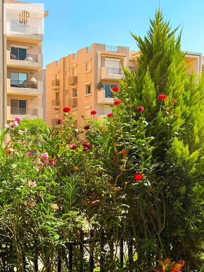 2 Bedroom Flat for Sale in New Cairo, Cairo - WhatsApp Image 2026-08-17 at 8.08. 34 PM (3). jpeg