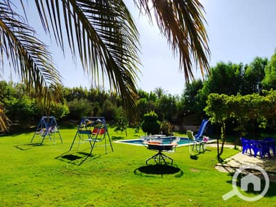 فیلا 3 غرف نوم للايجار في 6 اكتوبر، الجيزة - WhatsApp Image 2026-08-19 at 2.34. 51 PM (1). jpeg فیلا 3 غرف نوم للايجار في 6 اكتوبر، الجيزة - WhatsApp Image 2026-08-19 at 2.34. 51 PM (1). jpeg