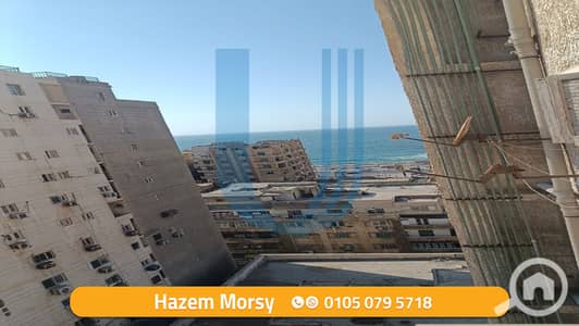 فلیٹ 3 غرف نوم للايجار في سبورتنج، الإسكندرية - 1. png فلیٹ 3 غرف نوم للايجار في سبورتنج، الإسكندرية - 1. png