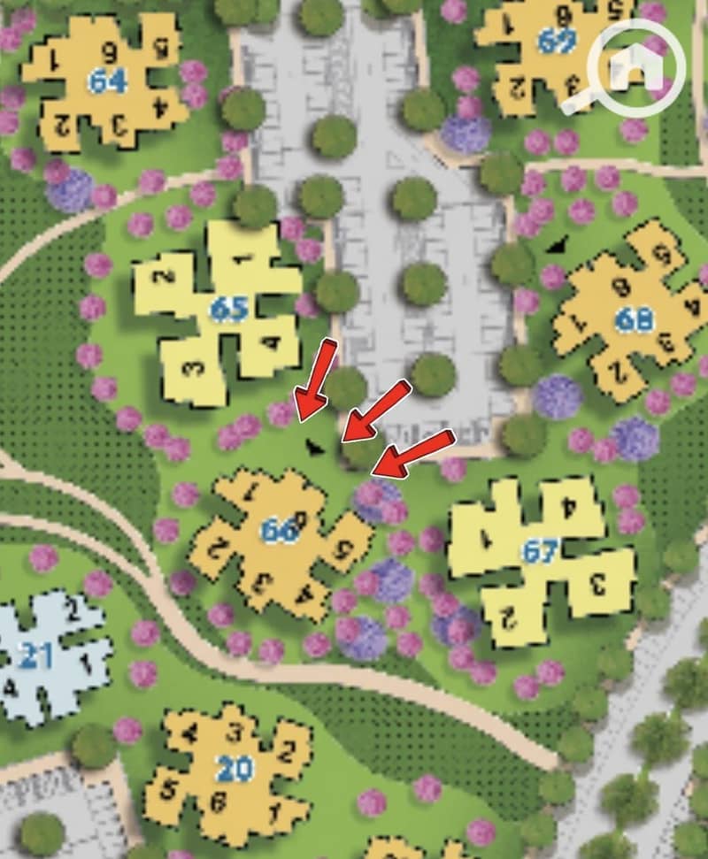 3 133864. jpg