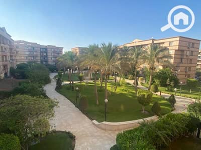 شقة 3 غرف نوم للايجار في القاهرة الجديدة، القاهرة - 95968ee9-ec0d-4749-b241-411c422b6274. jpg شقة 3 غرف نوم للايجار في القاهرة الجديدة، القاهرة - 95968ee9-ec0d-4749-b241-411c422b6274. jpg