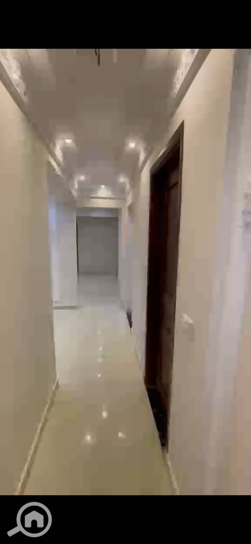 6 1003665931. jpg