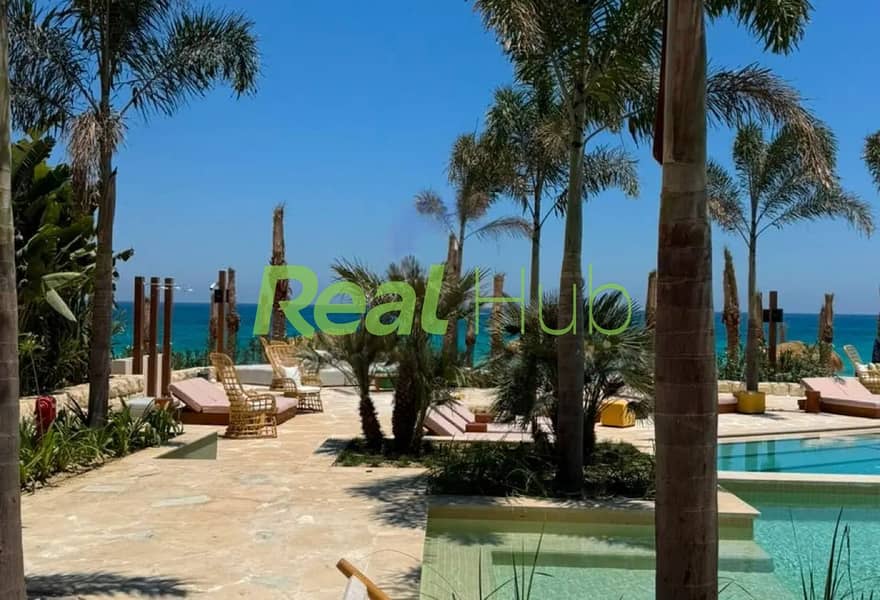6 watermark_removed_08 (1). jpg