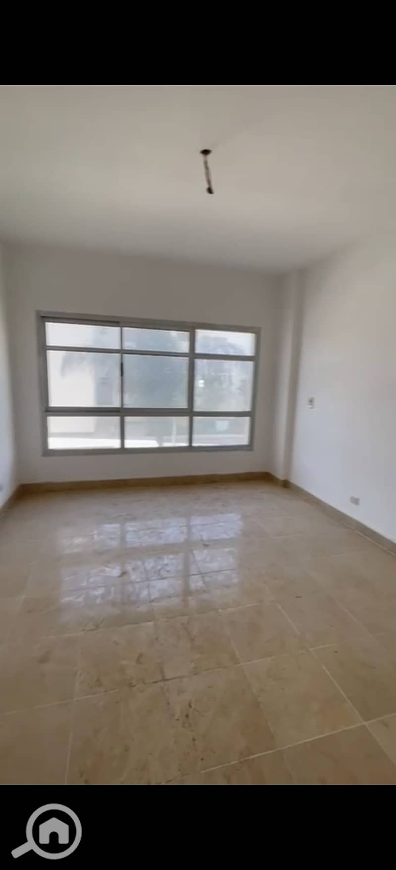 4 556122. jpg