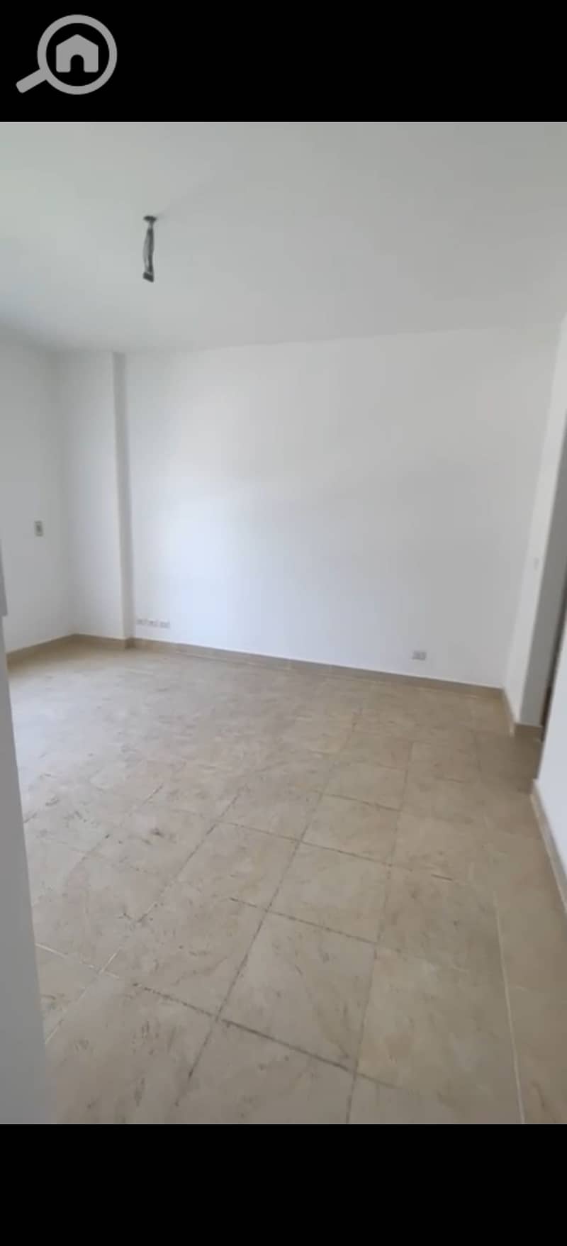 8 556124. jpg