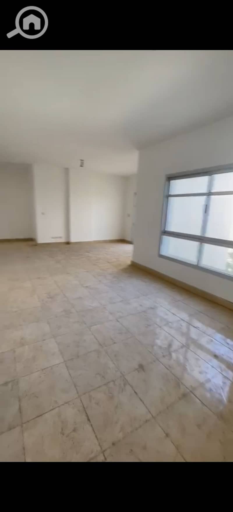 11 556116. jpg