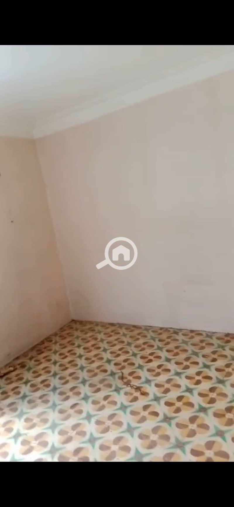 3 IMG_3647. png