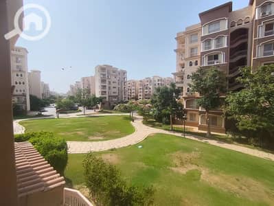 فلیٹ 3 غرف نوم للايجار في مدينتي، القاهرة - 1000515142. jpg فلیٹ 3 غرف نوم للايجار في مدينتي، القاهرة - 1000515142. jpg