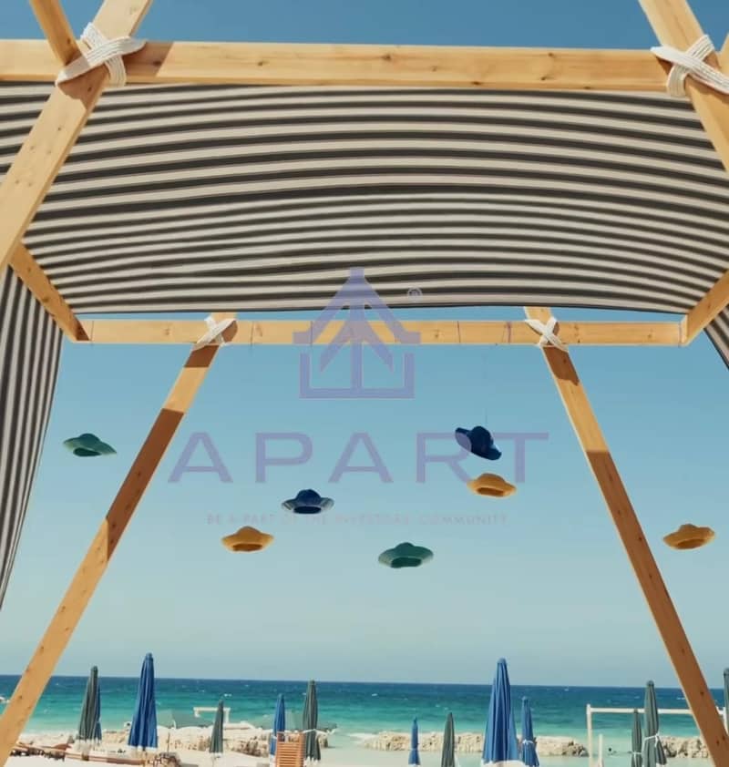 7 6012636791007022604. jpg