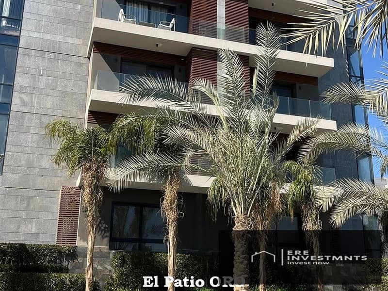 6 El_Patio_ORO_238. jpg