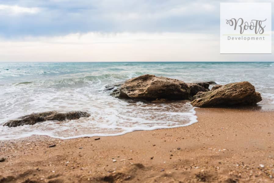 8 beautiful-shot-waves-sandy-beach_181624-37313. jpg