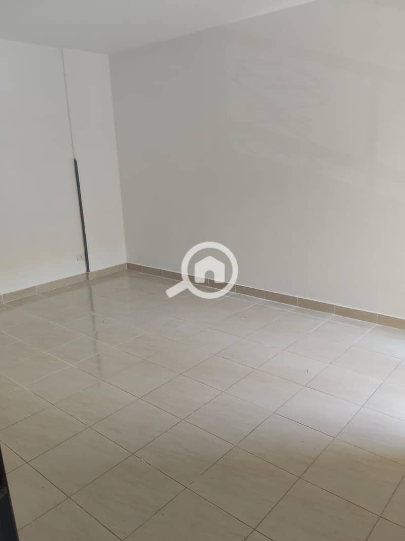 5 492628. jpg