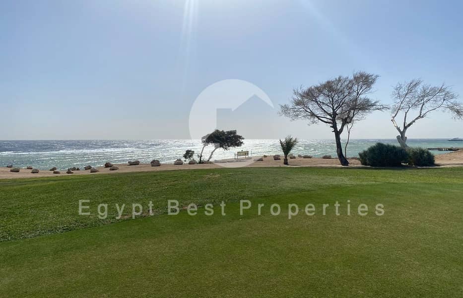 10 Somabay live photos_page-0009. jpg