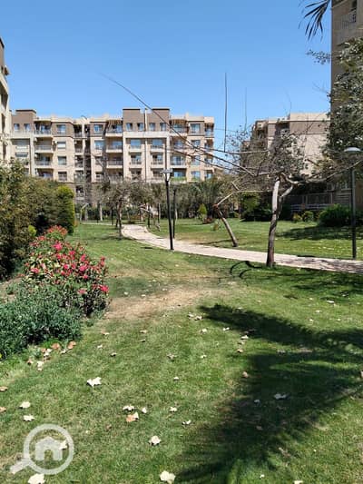 3 Bedroom Flat for Sale in Madinaty, Cairo - WhatsApp Image 2026-08-19 at 6.05. 46 PM (4). jpeg 3 Bedroom Flat for Sale in Madinaty, Cairo - WhatsApp Image 2026-08-19 at 6.05. 46 PM (4). jpeg