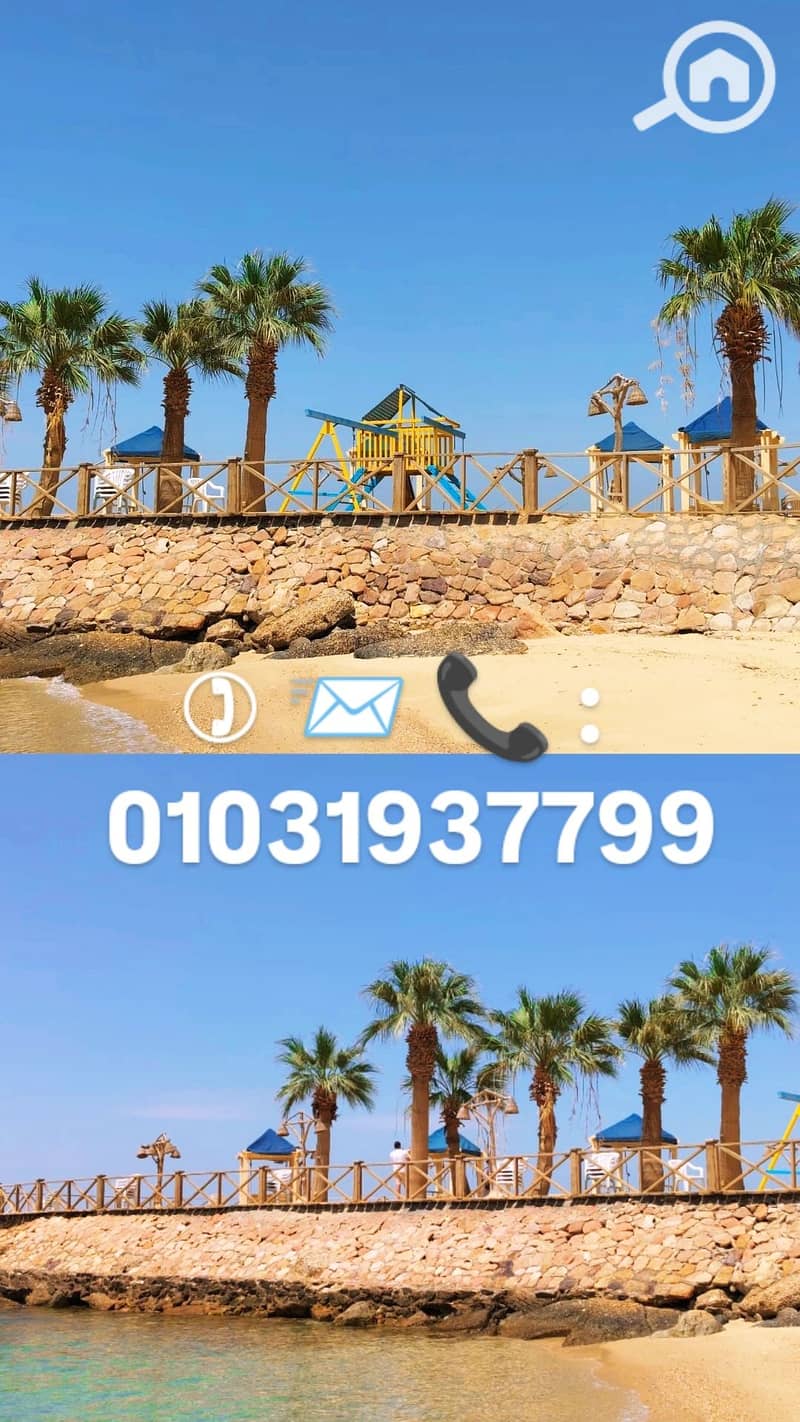 8 1000177887. webp