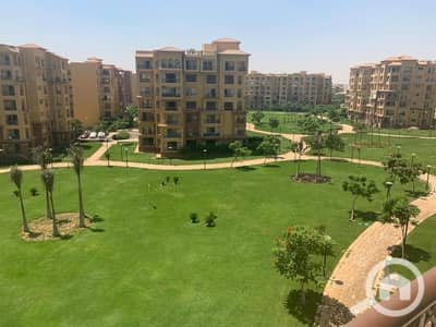 4 Bedroom Flat for Rent in Madinaty, Cairo - WhatsApp Image 2026-08-04 at 5.35. 09 PM. jpeg 4 Bedroom Flat for Rent in Madinaty, Cairo - WhatsApp Image 2026-08-04 at 5.35. 09 PM. jpeg