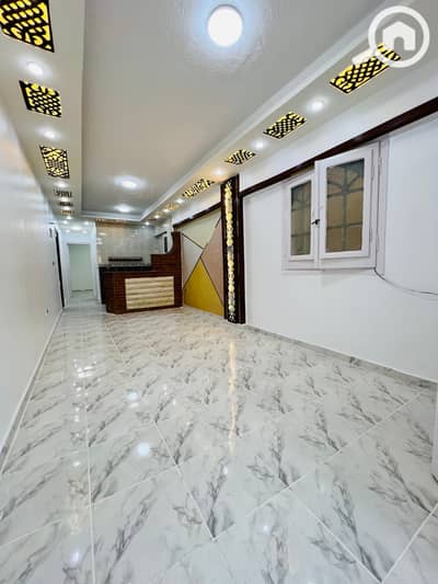 2 Bedroom Apartment for Sale in Nakheel, Alexandria - IMG_2846. jpg