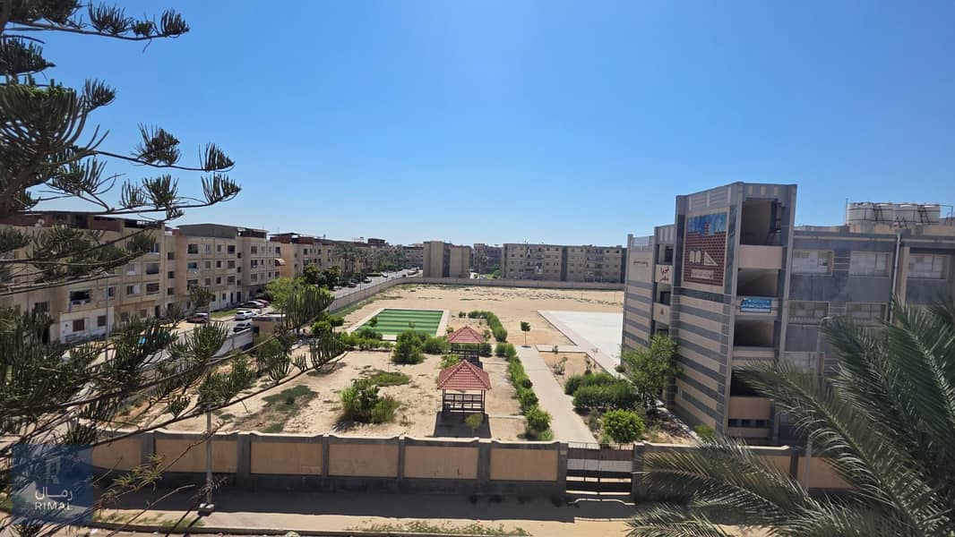 3 1000675190. jpg