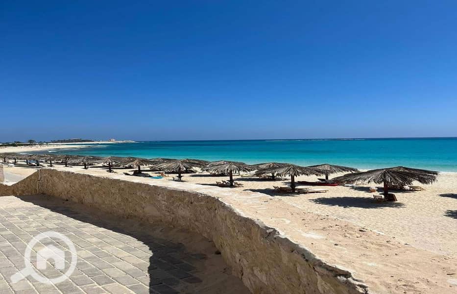 8 9954e6ff-7f58-403a-80b4-3047431e964a_1400x900. jpg