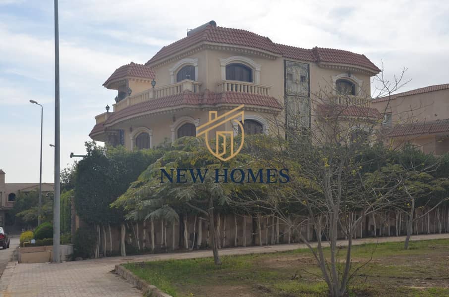 25 98e6ad5e-0641-4aca-9b40-fbe31c6d4175. jpg