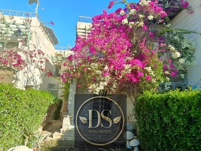 2 Bedroom Chalet for Sale in Ain Sukhna, Suez - WhatsApp Image 2026-08-09 at 12.48. 26 PM (4). jpeg 2 Bedroom Chalet for Sale in Ain Sukhna, Suez - WhatsApp Image 2026-08-09 at 12.48. 26 PM (4). jpeg