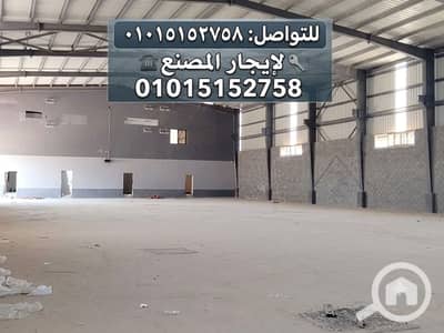 Factory for Rent in Badr City, Cairo - 1000088524. png Factory for Rent in Badr City, Cairo - 1000088524. png