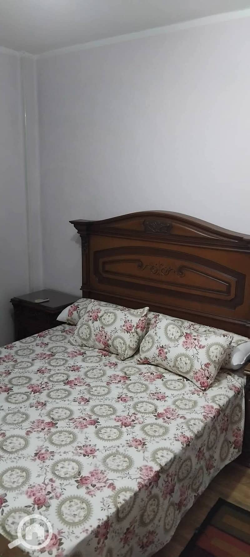 5 115753. jpg