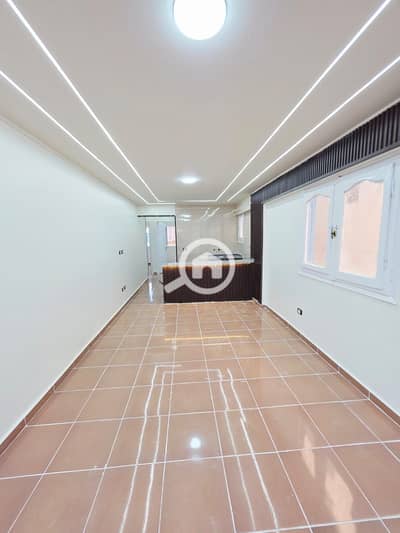 2 Bedroom Apartment for Sale in Nakheel, Alexandria - 3c67280c-8857-4516-83fd-6fe975db9145. jpg