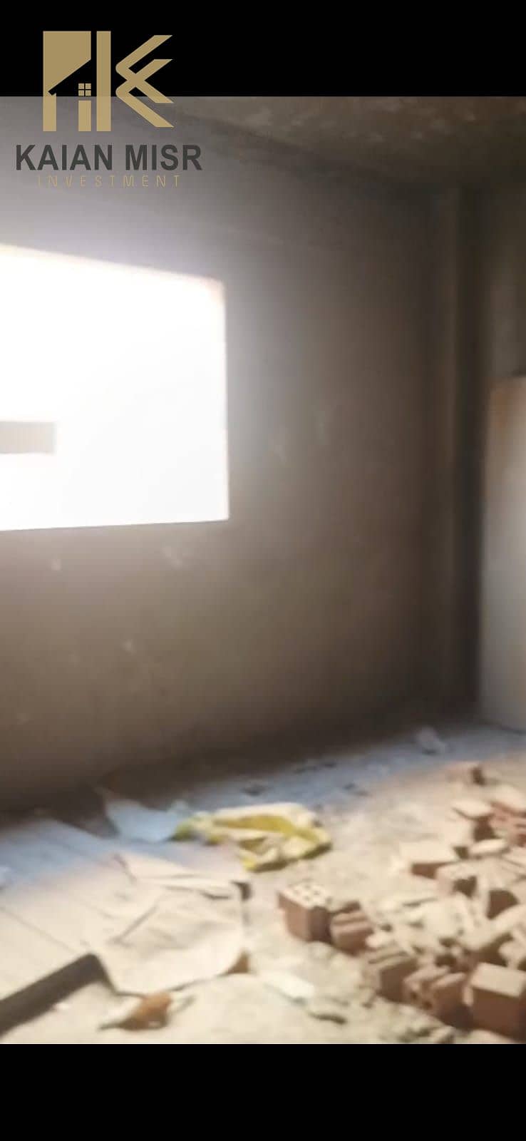 3 3963. jpg