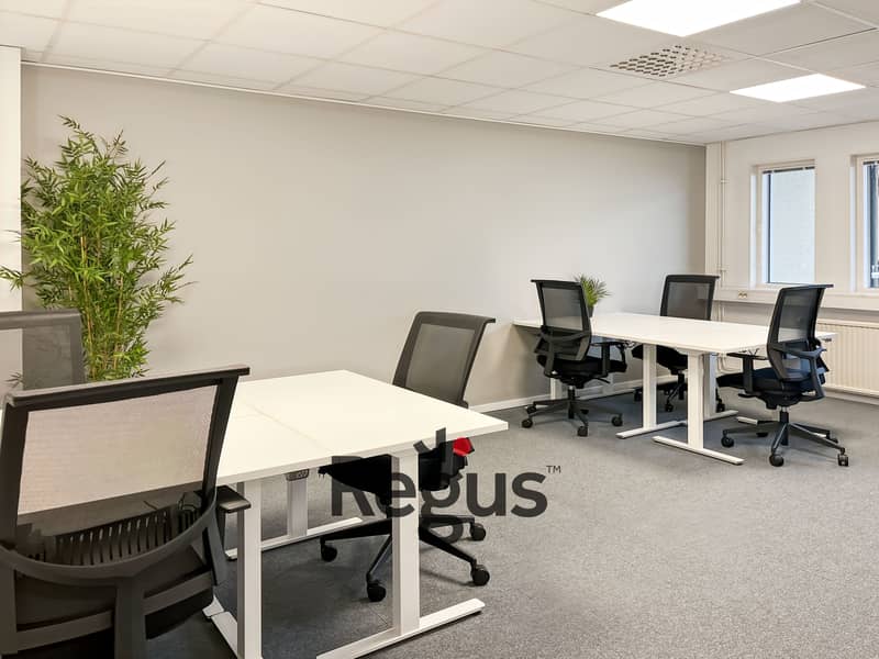 9 Regus_Vänersborg, Sundsgatan_Sweden_Centre 7735_Office 5. . jpg